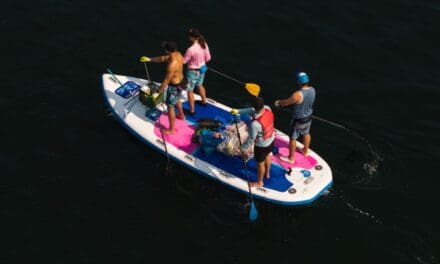 🏄‍♀️  Community Comes Together for Harbour Clean-Up and Waterfront Stewardship Initiatives