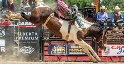π Wasaga Beach Gets Ready for Rodeo Weekend | Klondike Sports Park October 3rd and 4th