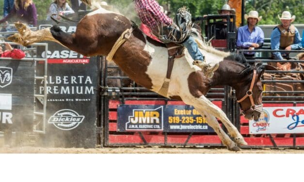 🏇  Wasaga Beach Gets Ready for Rodeo Weekend | Klondike Sports Park October 3rd and 4th