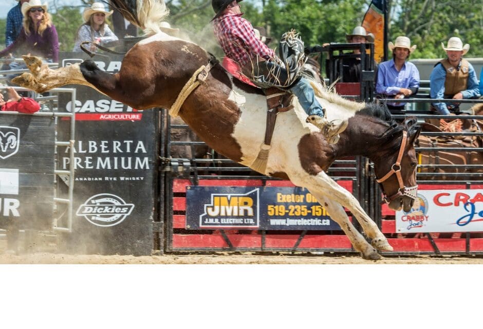 🏇  Wasaga Beach Gets Ready for Rodeo Weekend | Klondike Sports Park October 3rd and 4th