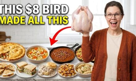 ✅  I Got 12 Meals From One $8 Chicken — Old Farmhouse Method | Tried & True