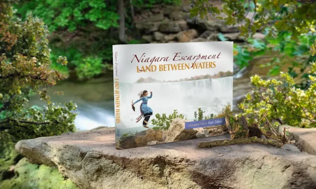 Land Between Waters | GEORGIANBAYNEWS.COM