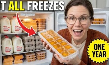 🥦  14 Foods I Froze Wrong for 20 Years Before Someone Showed Me
