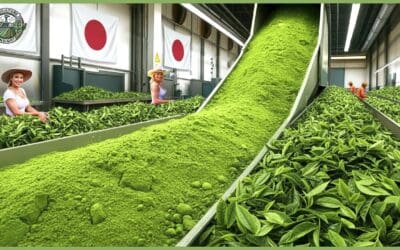 🍵  Inside the World’s Most Expensive Matcha Powder Processing – How Japanese Matcha Is Made