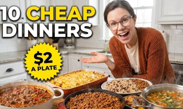 🥘  10 Cheap Dinners for When Money’s Tight (Feeds the Whole Family)