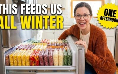 🌽 Get Your Freezer Ready for Winter — 12 Things to Buy Now