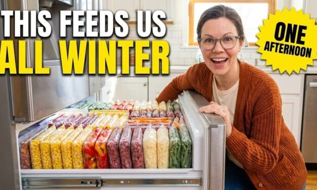 🌽 Get Your Freezer Ready for Winter — 12 Things to Buy Now