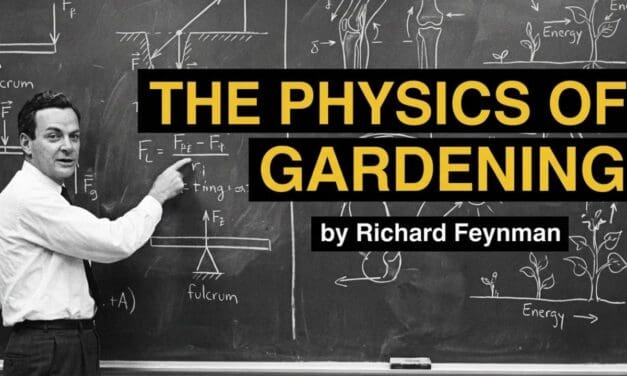 👩‍🌾  What Gardening Does to Your Body — The Untold Physics