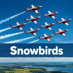 🇨🇦 Canadian Forces Snowbirds: Canada’s Iconic Aerobatic Team | georgianbaynews.com