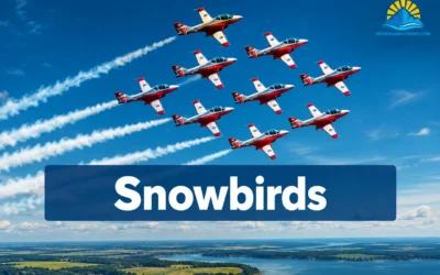 🇨🇦 Canadian Forces Snowbirds: Canada’s Iconic Aerobatic Team | georgianbaynews.com