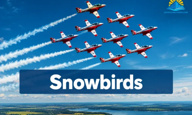 🇨🇦 Canadian Forces Snowbirds: Canada’s Iconic Aerobatic Team | georgianbaynews.com