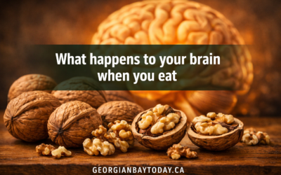 🧠  What Happens to Your Brain When You Eat Walnuts