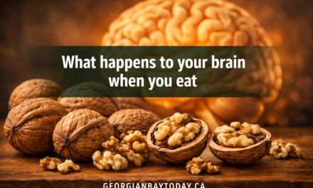 🧠  What Happens to Your Brain When You Eat Walnuts