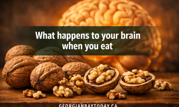 🧠  What Happens to Your Brain When You Eat Walnuts