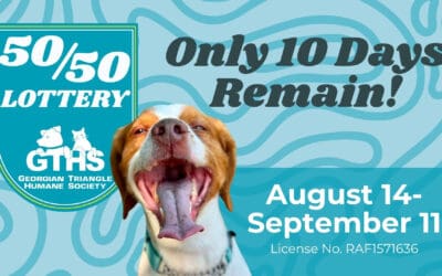 🐶  The GTHS 50/50 Lottery | The jackpot is currently more than $11,800 and growing