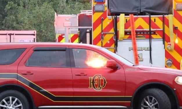 🔥  BEACHWOOD ROAD FIRE | SCENE WATCH MEDIA