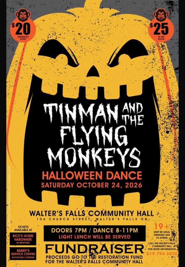 tinman-Concert
