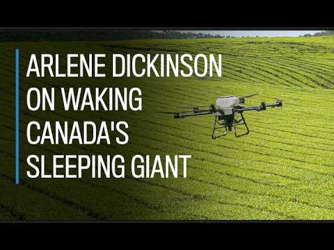 🇨🇦   Arlene Dickinson on waking Canada’s ‘sleeping giant’ | Financial Post