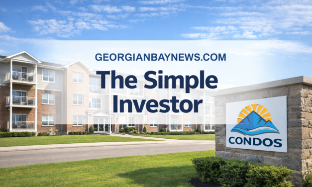 ❗️The Simple Investor: What It Is, Who’s Behind It, and What’s Happening Now