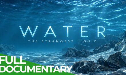 💦  The Mystery of Water: Nature’s Strangest Liquid | Free Documentary Nature